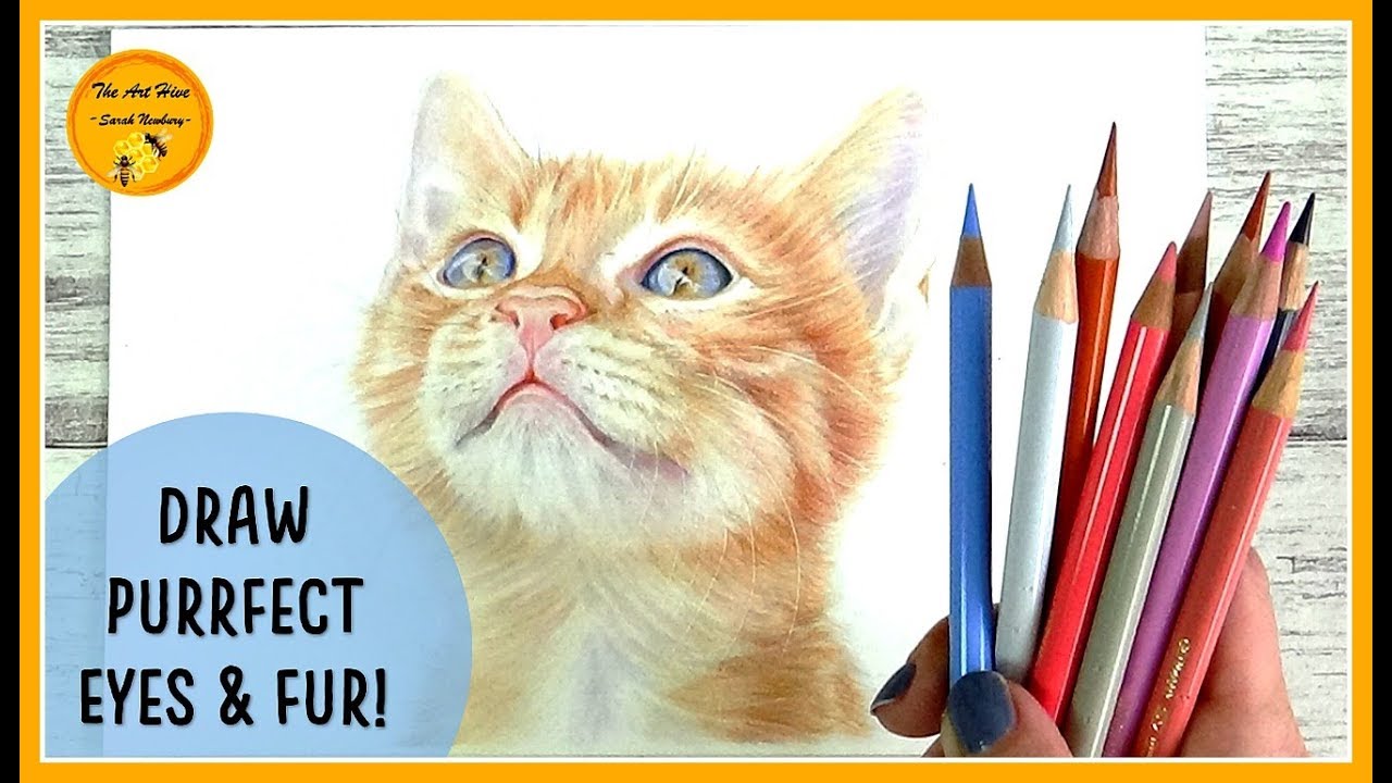 How to Draw a Realistic Cat Tutorial